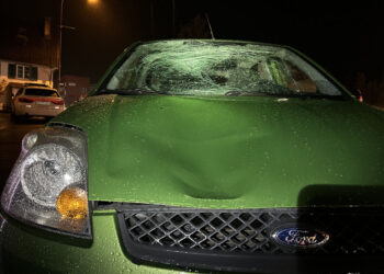 Egnach: Fussgängerin mit Hund bei Zusammenstoss verletzt