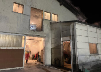 Mottbrand in Grastrocknungsanlage