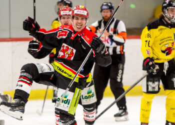 Überzeugender Heimsieg gegen Franches-Montagnes