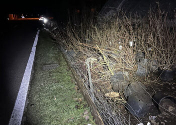 Wuppenau: Nach Kollision weitergefahren