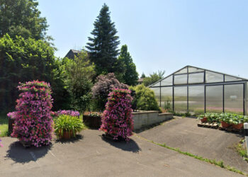 Pflanzenproduktion wird eingestellt