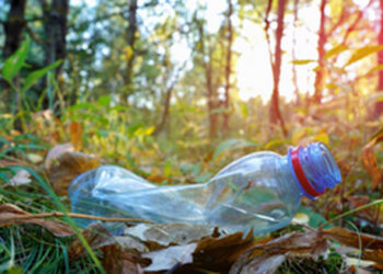 Regierungsrat erhöht die Busse für Littering