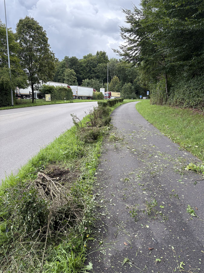 Am Auto entstand Totalschaden. (Bild: Kantonspolizei Thurgau)
