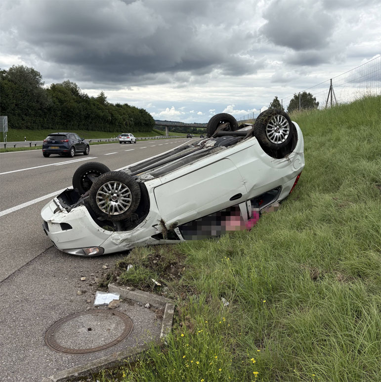 Beim Selbstunfall wurde niemand verletzt. (Bild: Kantonspolizei Thurgau)